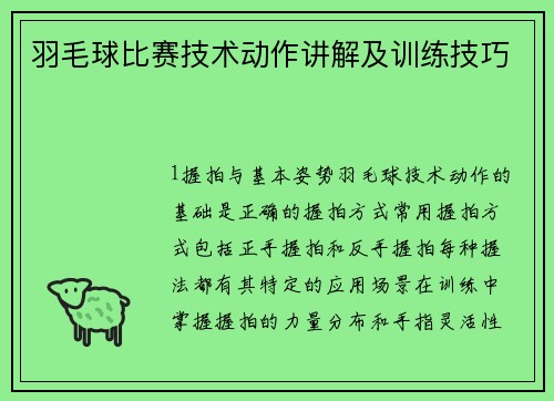 羽毛球比赛技术动作讲解及训练技巧