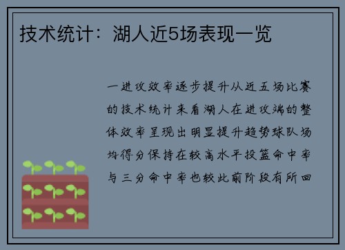 技术统计：湖人近5场表现一览